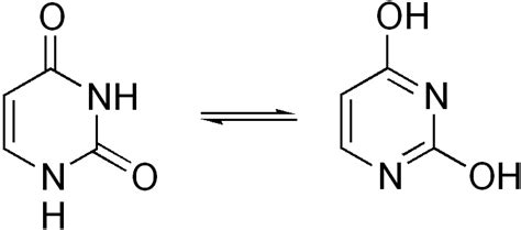 Adenine And Uracil Bond: What,How,Detailed Facts – Lambda Geeks