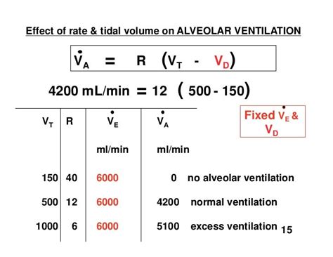 11.17.08(a): Alveolar Ventilation