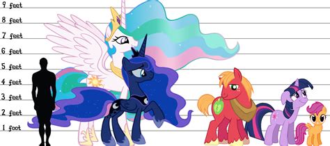 MLP Height (My Thoughts) by LunicAura106 on DeviantArt