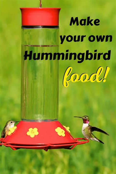 Easy 2-Ingredient Homemade Hummingbird Food Recipe