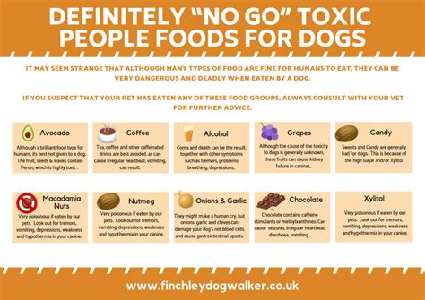 Toxic & Deadly Foods For Dogs - Finchley Dog Walker