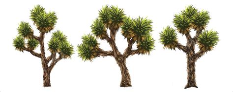 Joshua Tree Illustration Wood Green Vector, Illustration, Wood, Green ...