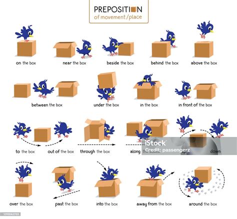 Preposition Of Place And Movement Bird And Box Stock Illustration - Download Image Now - Below ...