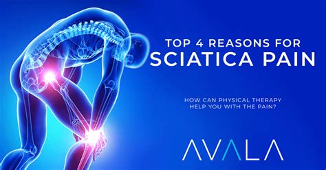 Top 4 Reasons for Sciatica Pain and What You Can Do About It - Avala.com