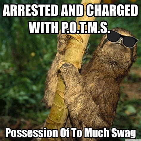 14 Sloth Memes That Will Quickly Make Your Day More Exciting