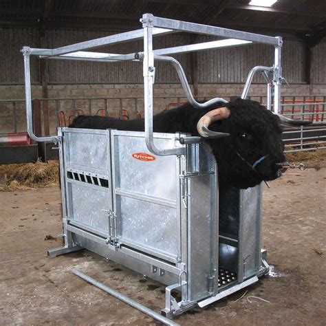 Highland Cattle Handling Crate | Ritchie Agricultural