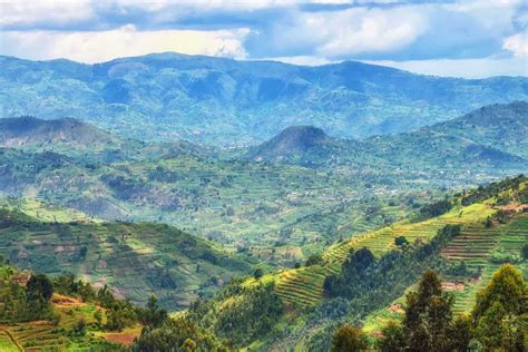 Rwanda Coffee: Exotic and Enchanting!