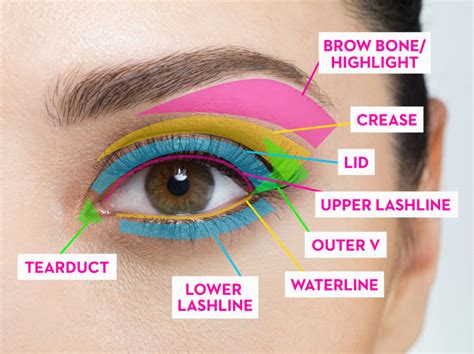 Eyeshadow Placement Diagram