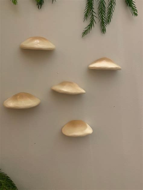 Pleurotus Pulmonarius set of 5 PNW Wild Mushroom Wall Decor - Etsy Canada | Mushroom decor ...