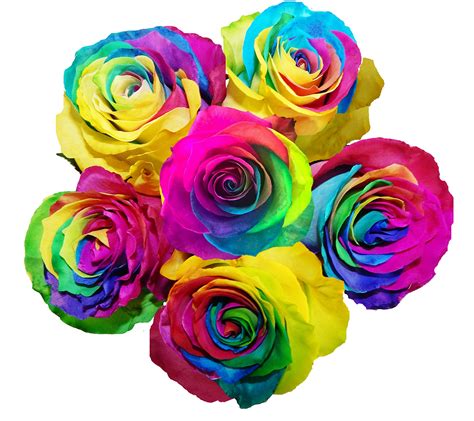 Easy Rainbow Rose