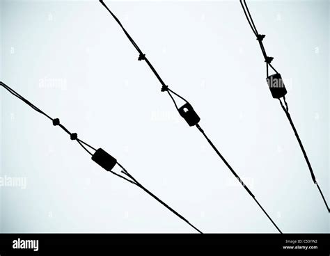 power lines in silhouette Stock Photo - Alamy