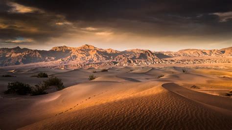 Sunrise over the Mesquite Flat Sand Dunes - Death Valley National Park - backiee