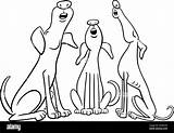 Black And White Cartoon Illustration Of Three dogs Animal Characters  sketch template