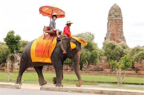 Elephant ride (Ayutthaya, Thailand, Asia, 2013) | Elephant ride ...