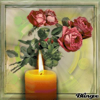 Rosen im Kerzenschein. Roses in the candlelight. | Rose images, Candlelight, Beautiful roses
