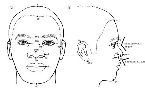 The Average African American Male Face: An Anthropometric Analysis | Facial Plastic Surgery ...