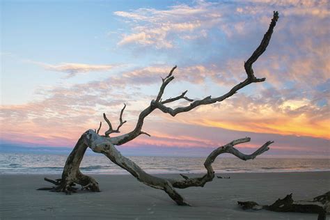 14 of the Best Beaches Near Atlanta for Families - The Family Vacation Guide