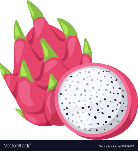 Pitaya or dragon fruit Royalty Free Vector Image