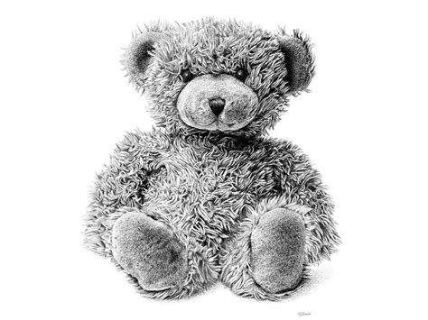 Teddy bear drawing - ordersenturin