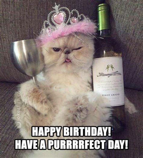 Birthday Quotes : 101 Funny Cat Birthday Memes for the Feline Lovers in Your Life - The Love ...