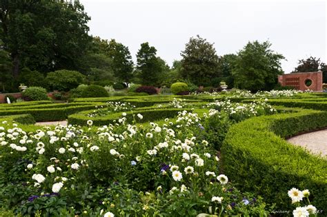 Missouri Botanical Garden - jclw-nature