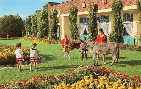 Donkeys improbably in the Flower Gardens at Butlin's Filey Holiday Camp in 1968...