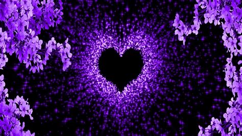 Beautiful, romantic, purple, loving,photography&wedding background ...