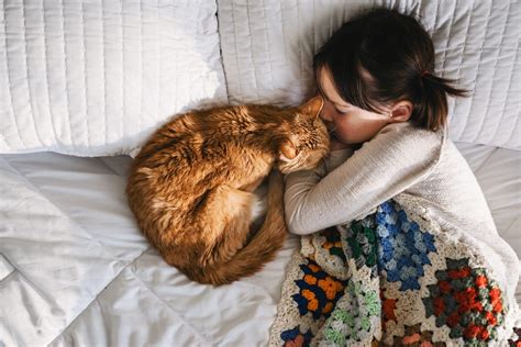 Should You Let Your Cat Sleep in Your Bed? | Reader's Digest