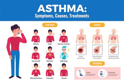 Exploring Differences Between Bronchitis And Asthma