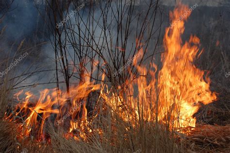 Fire of grass — Stock Photo © sergeyussr #8514996