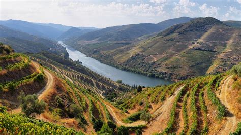 Port Wines & Grape Varieties of Douro Valley, Portugal