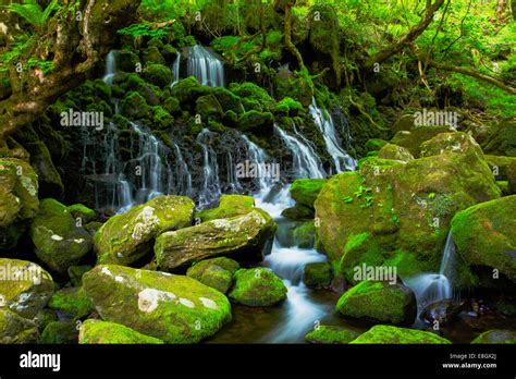 Akita Prefecture, Japan Stock Photo - Alamy