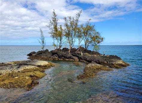 Coconut Island (Moku Ola), Hilo - Hawaii Beaches