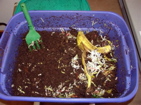 Worm composting or vermicomposting - Gardening in Michigan