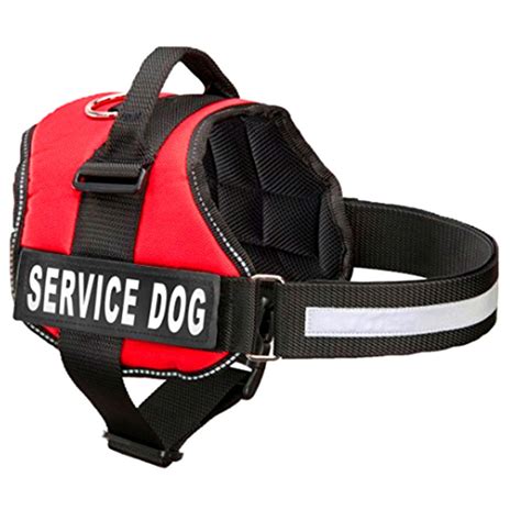 Service Dog Vest | Service Dog and Emotional Support Animal Registration