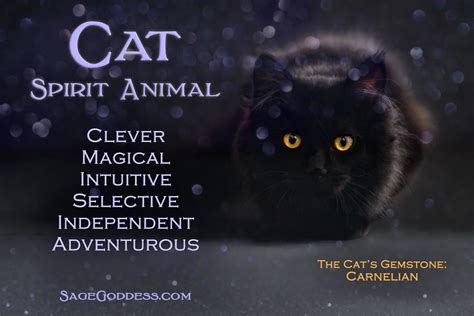 sweetanimalsite.info | Cat spirit animal, Cat spirit, Spirit animal totem