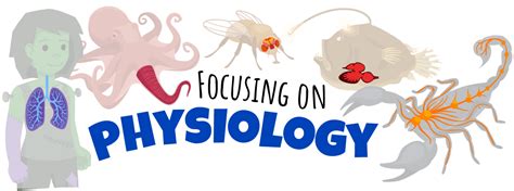 Focusing on Physiology | Ask A Biologist