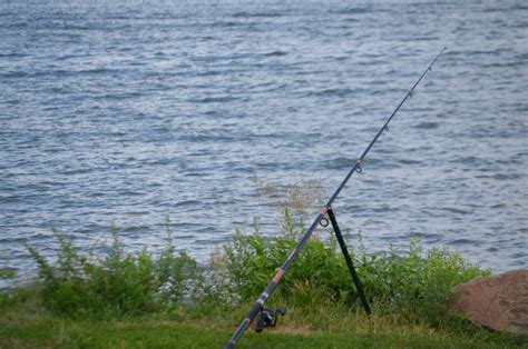 Fishing Rod Free Stock Photo - Public Domain Pictures