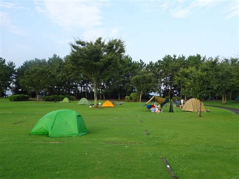 Camping in Tokyo | Japan - Insanelymadadventures