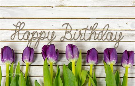 happy birthday greetings in rope design with purple tulips on whitewashed wood | Happy birthday ...