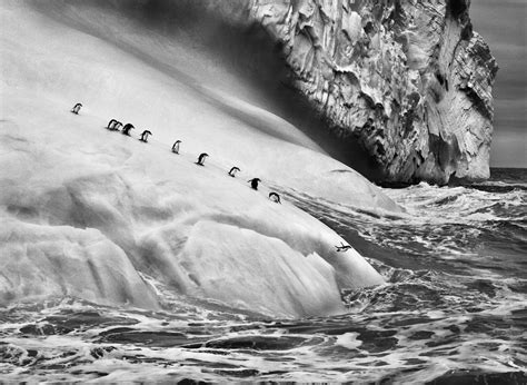 Sebastião Salgado - Genesis - Culture at the Castle