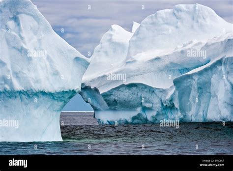 Iceberg in Iceberg Alley during an Iceberg Watching Tour with Northland ...