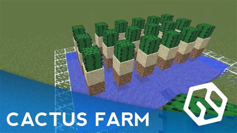 Minecraft Cactus Farm Layout