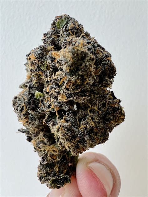 Jealousy - Strain Review - HighThailand