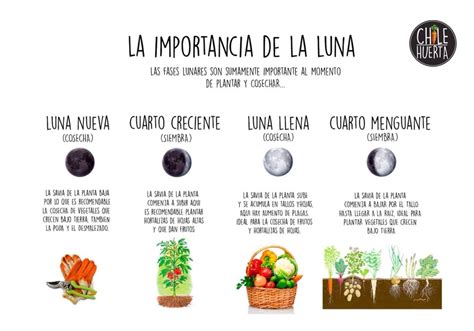 Fases lunares en siembra y cosecha www.chilehuerta.cl | Cultivo de ...