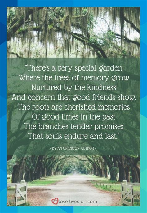 Planting a memorial tree is a beautiful way to celebrate the life of a loved one and bring a ...