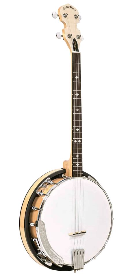 What is a Tenor Banjo? A Guide to the Unique Sound of this Instrument