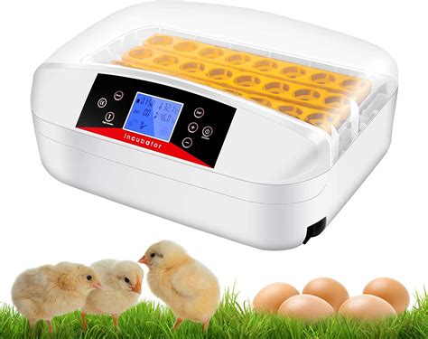 Quail egg incubator humidity | Egg incubator