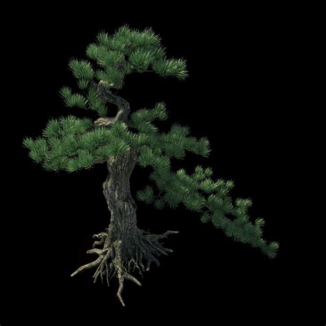 ArtStation - Trees - Huanglongshan Pine 02 | Game Assets