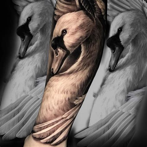 Swan Forearm Tattoo